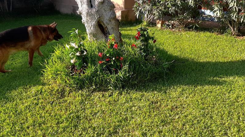 Villa Girasole Monteroni di Lecce Extérieur photo